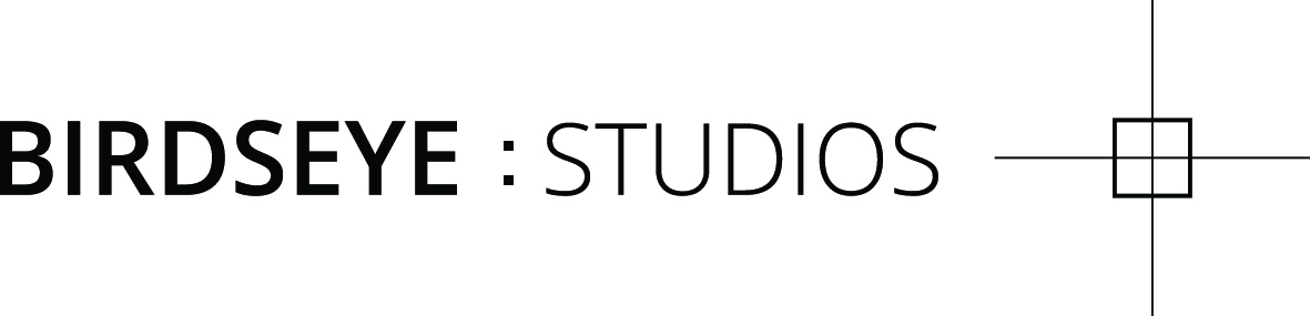 Birdseye Studios logo