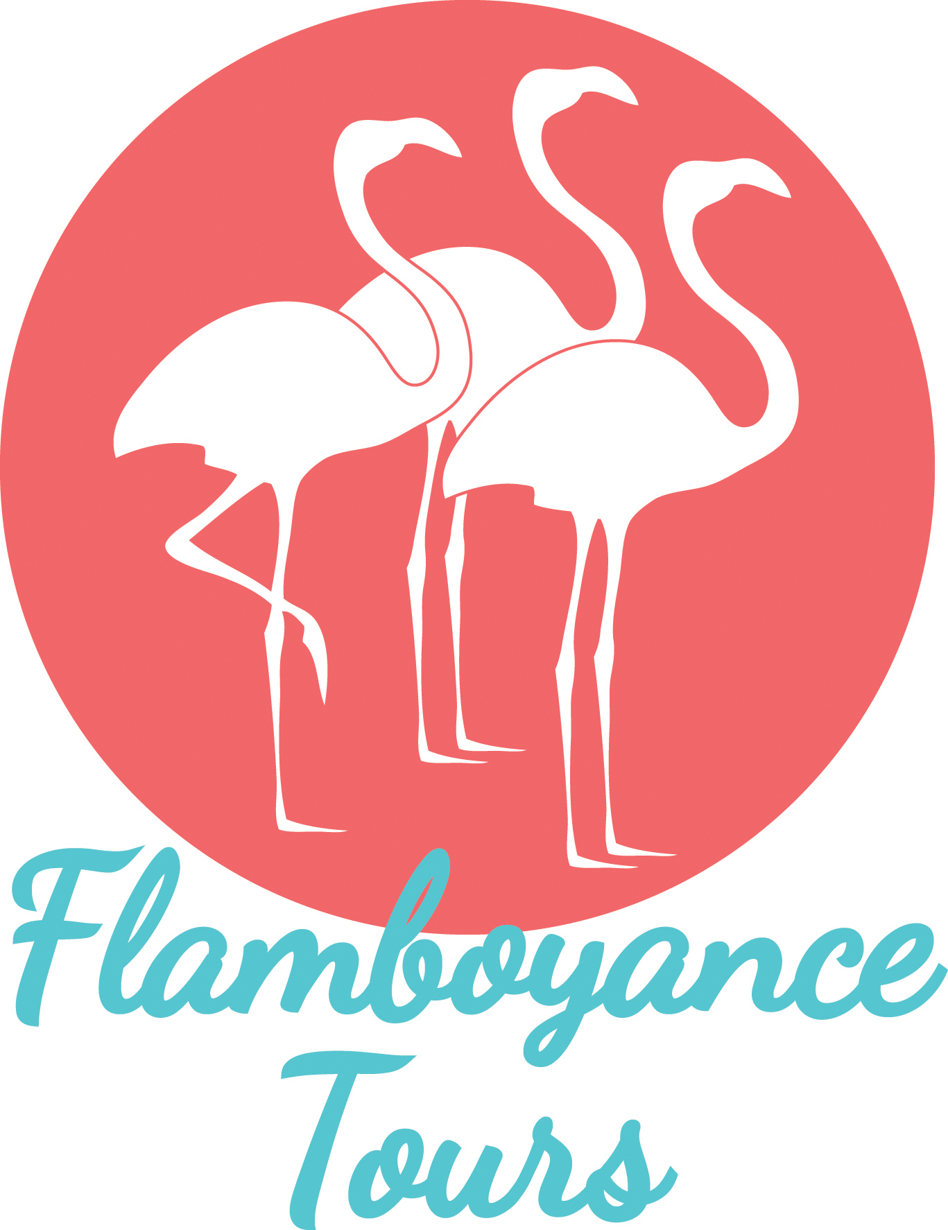 Flamboyance Tours logo
