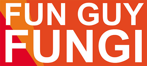 Fun Guy Fungi logo