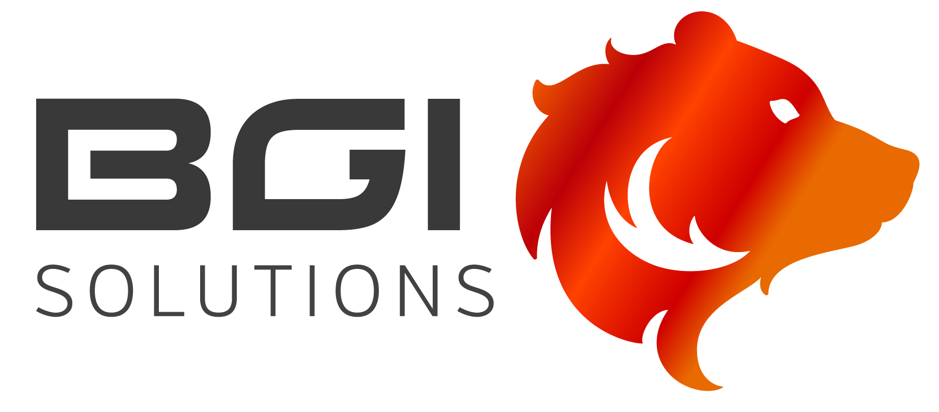 BGI Solutions logo