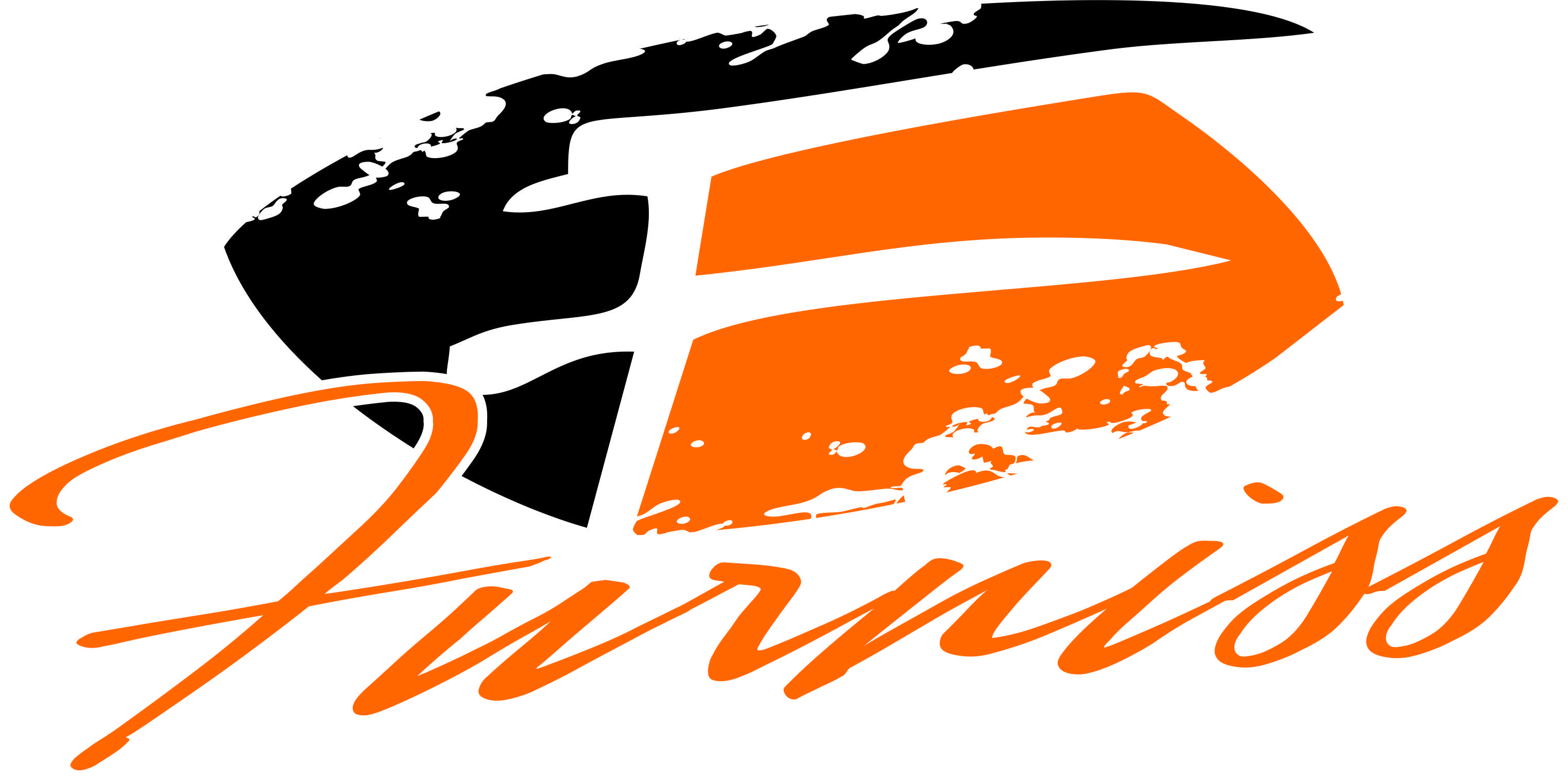 Furniss Painting and Decorating logo