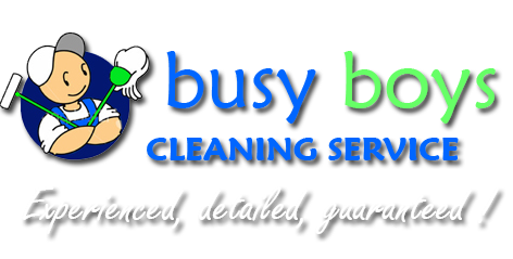 Busy Boys Cleaning Services logo
