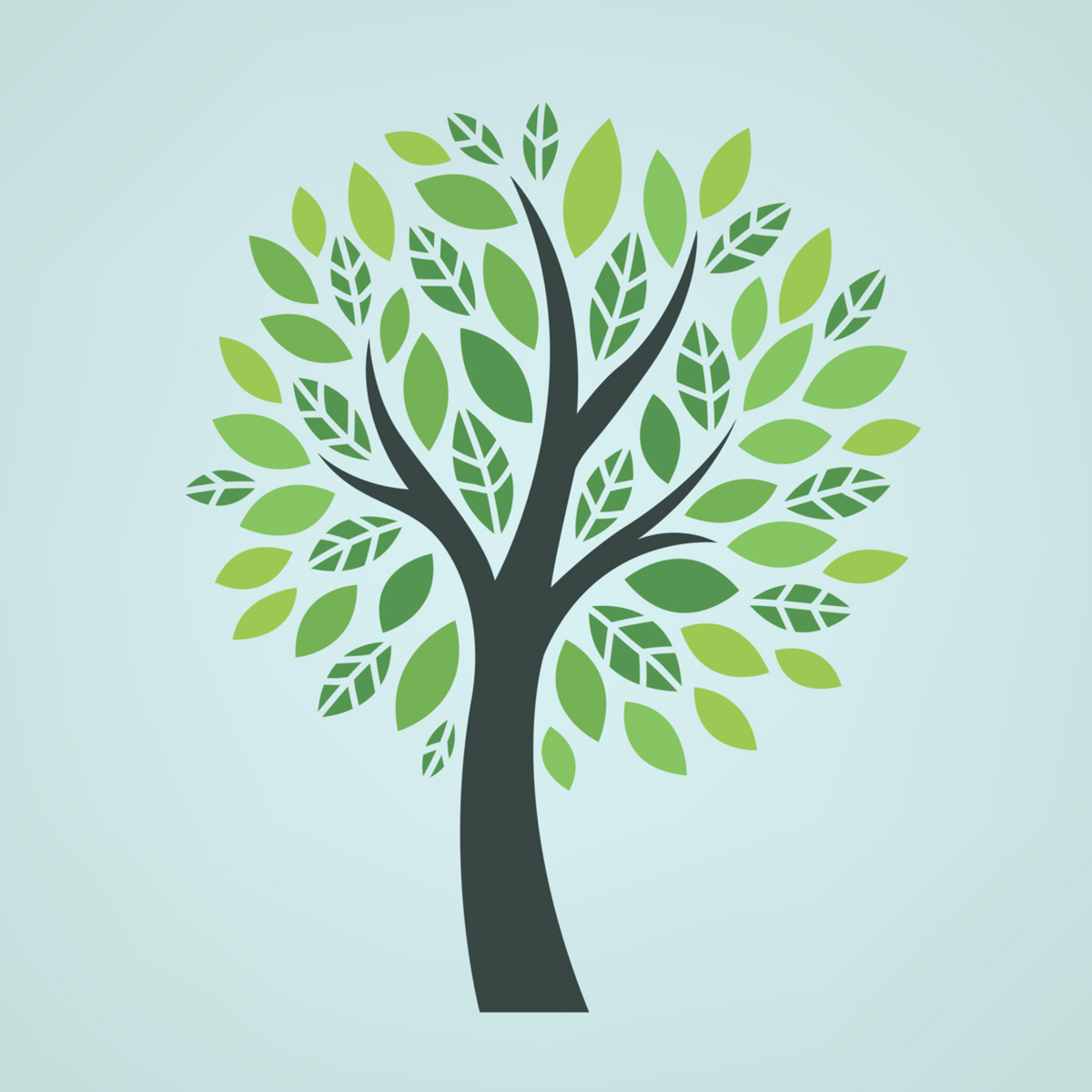 South Coast Tree Services logo