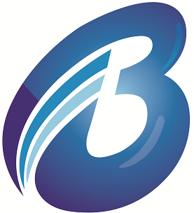 Bexceed Tax & Accounting Services logo