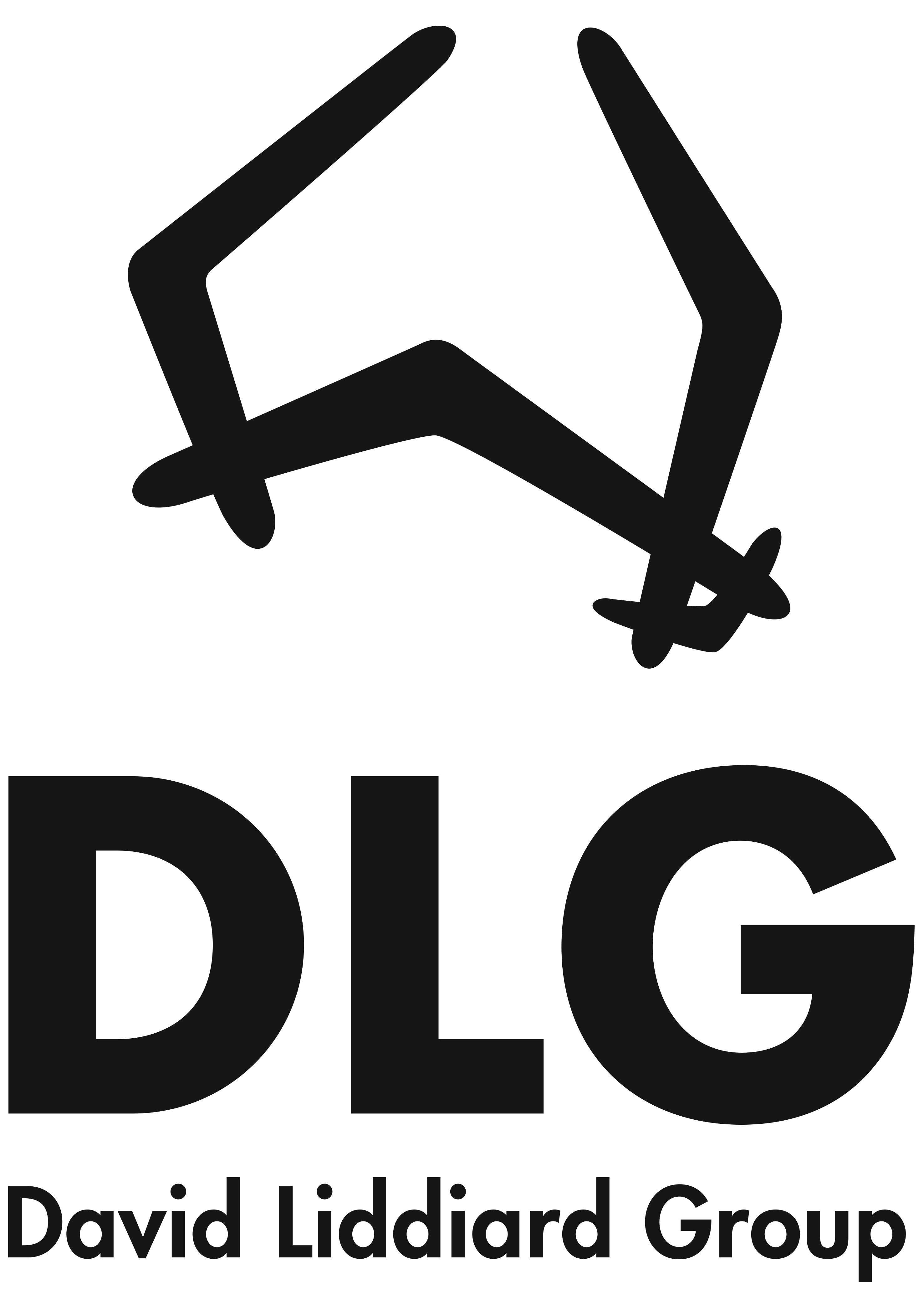 David Liddiard Group icon