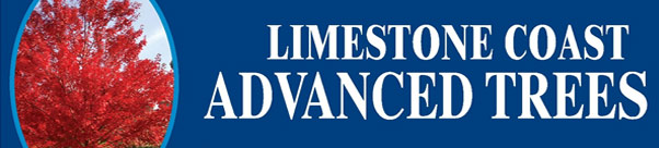 Limestone Coast Advanced Trees @ Gardenarium logo