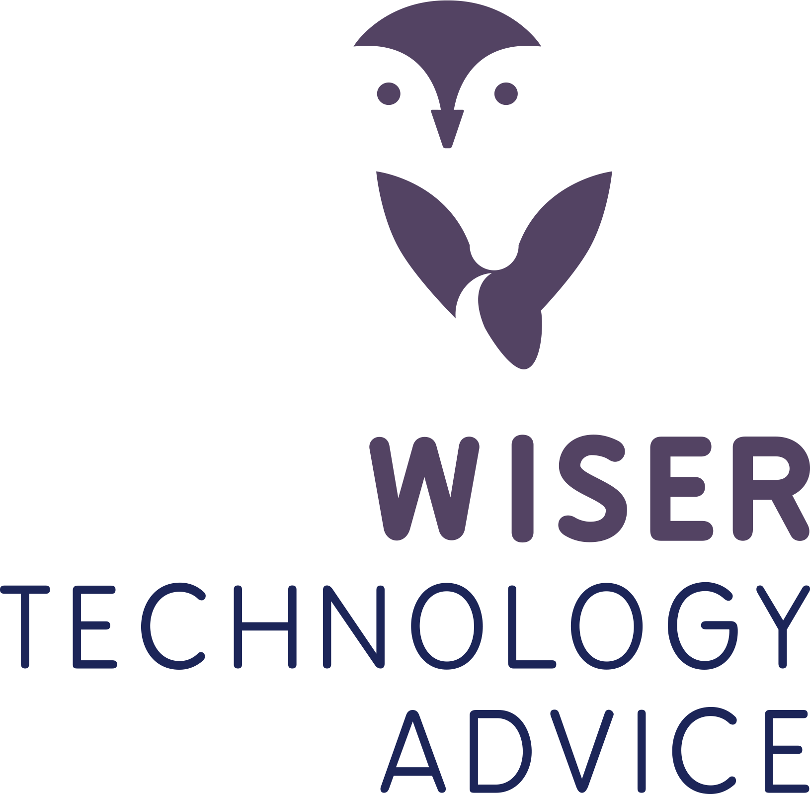 Wiser Technology Advice logo