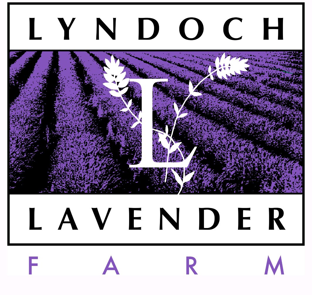 Lyndoch Lavender Farm logo