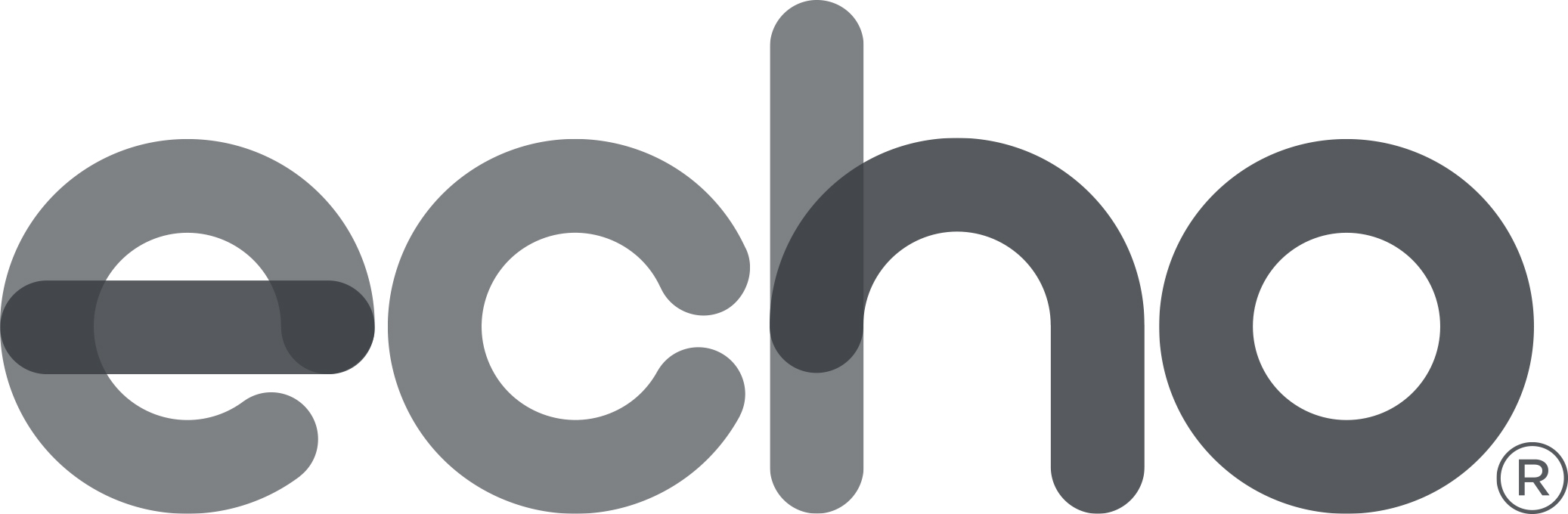Echo Group Corporation logo