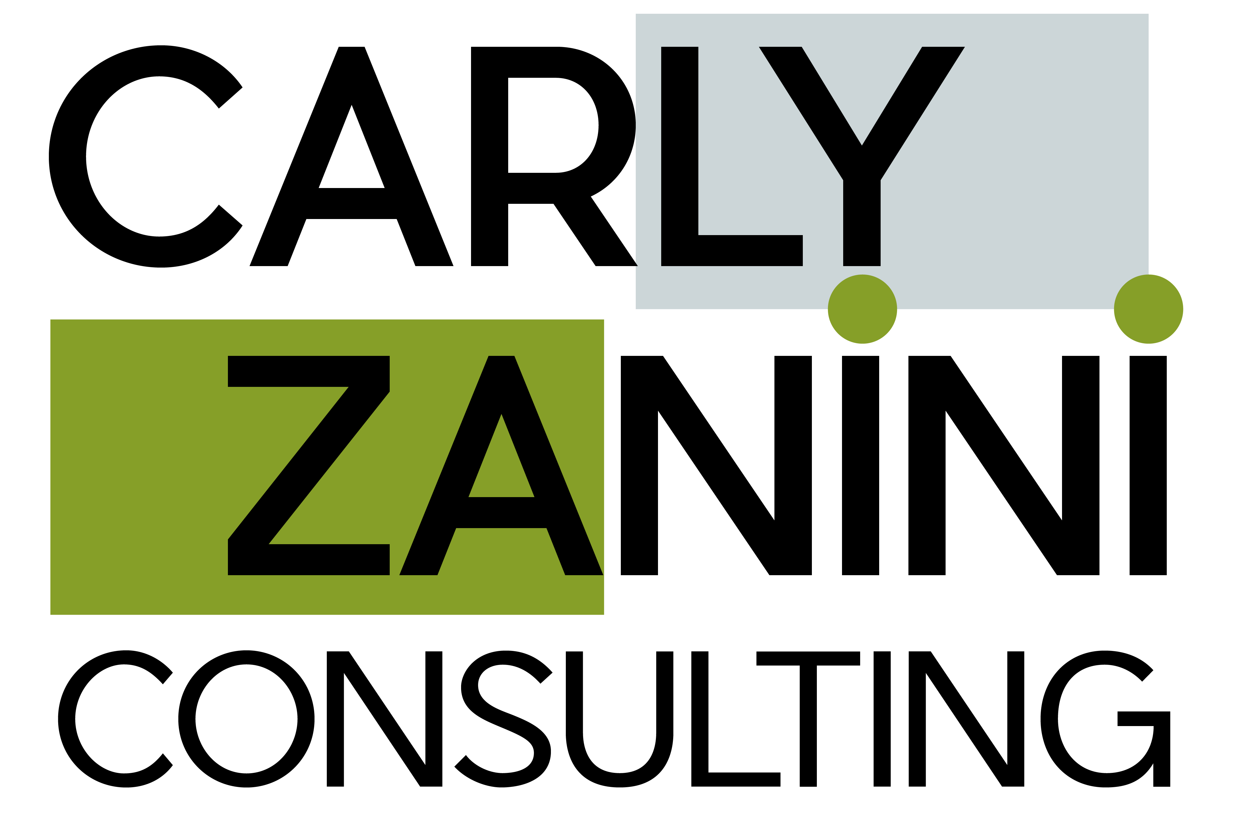Carly Zanini Consulting logo