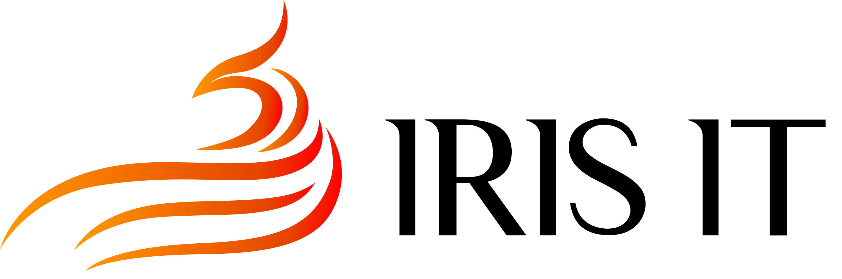 IRIS IT logo