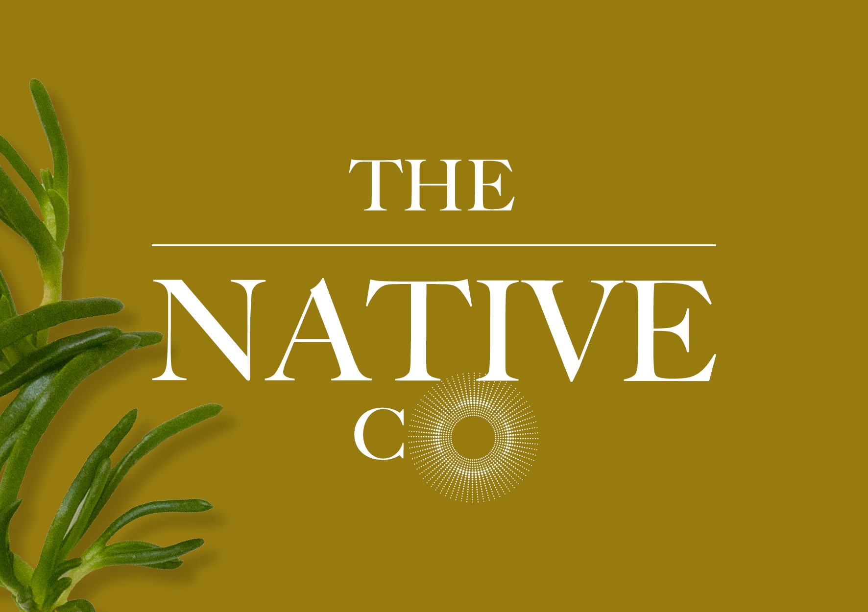 The Native Co logo