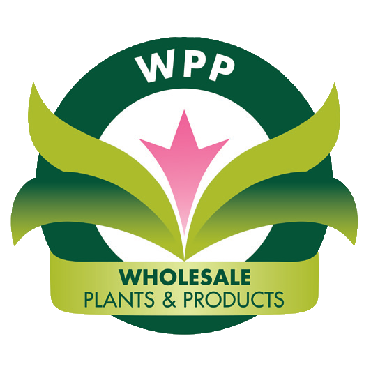 Wholesale Plants and Products logo