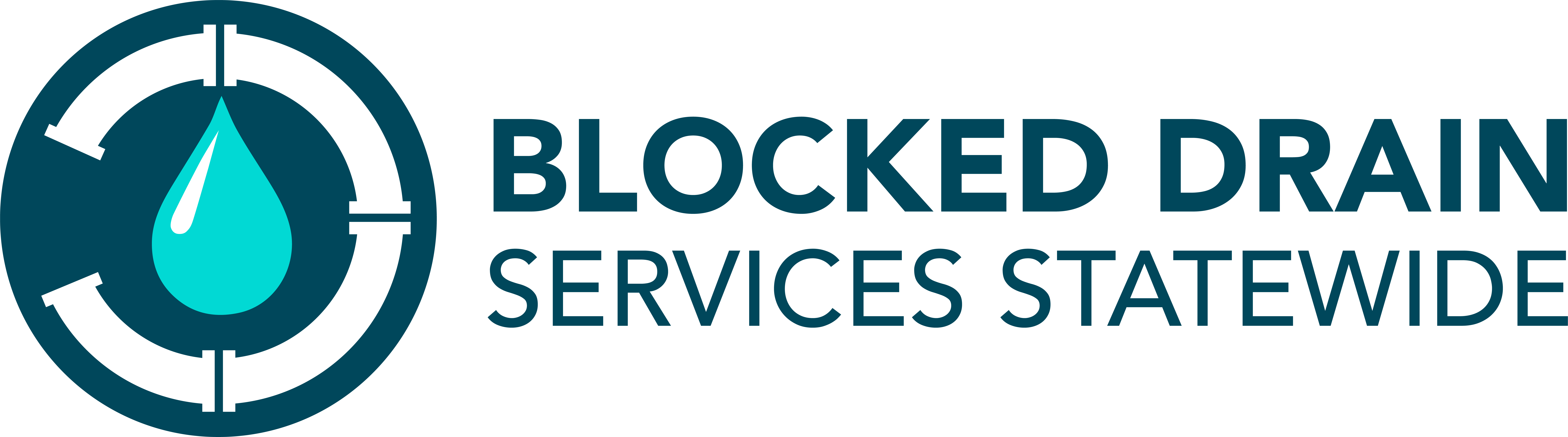 Blocked Drain Services Statewide logo