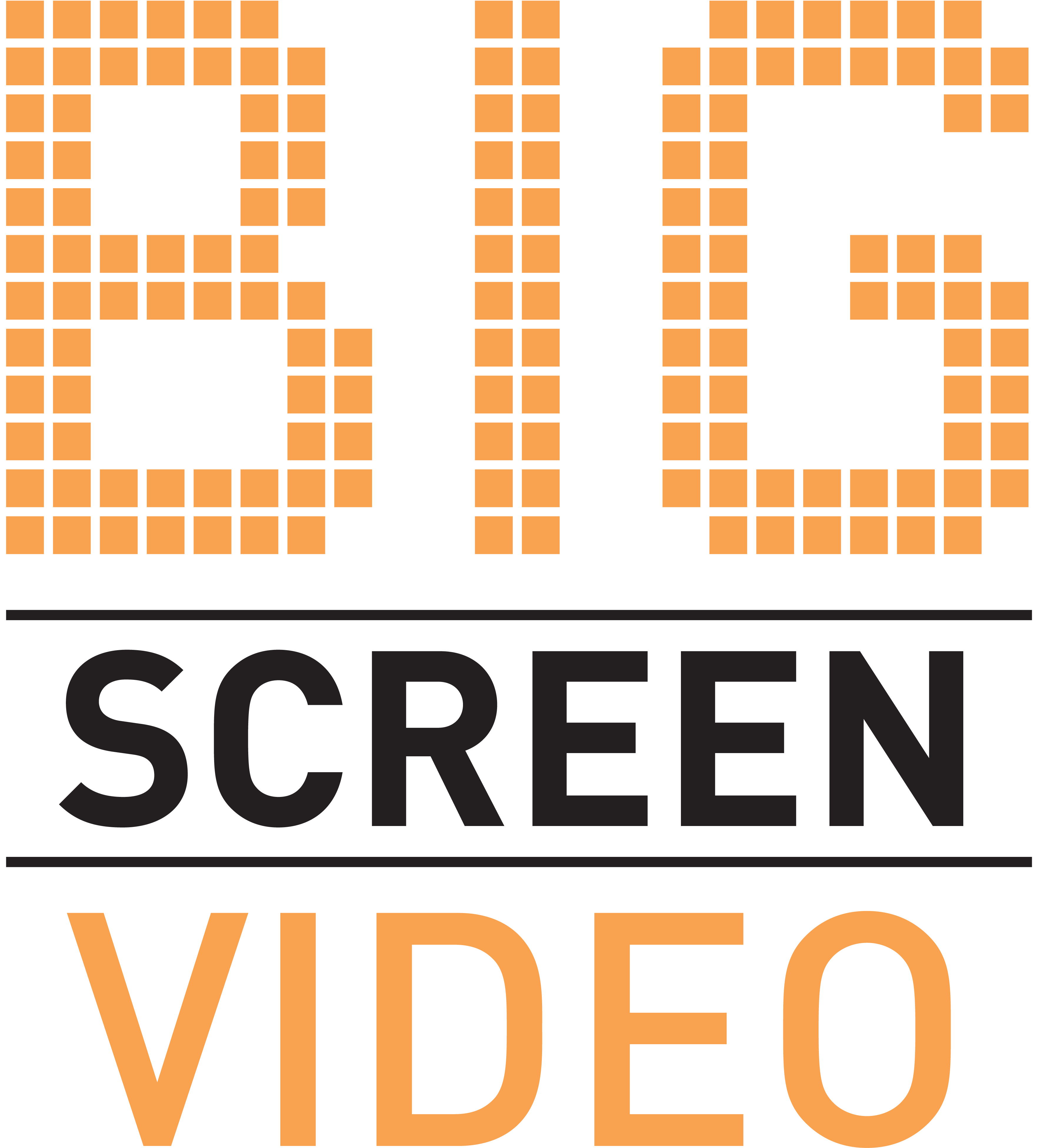 Big Screen Video logo