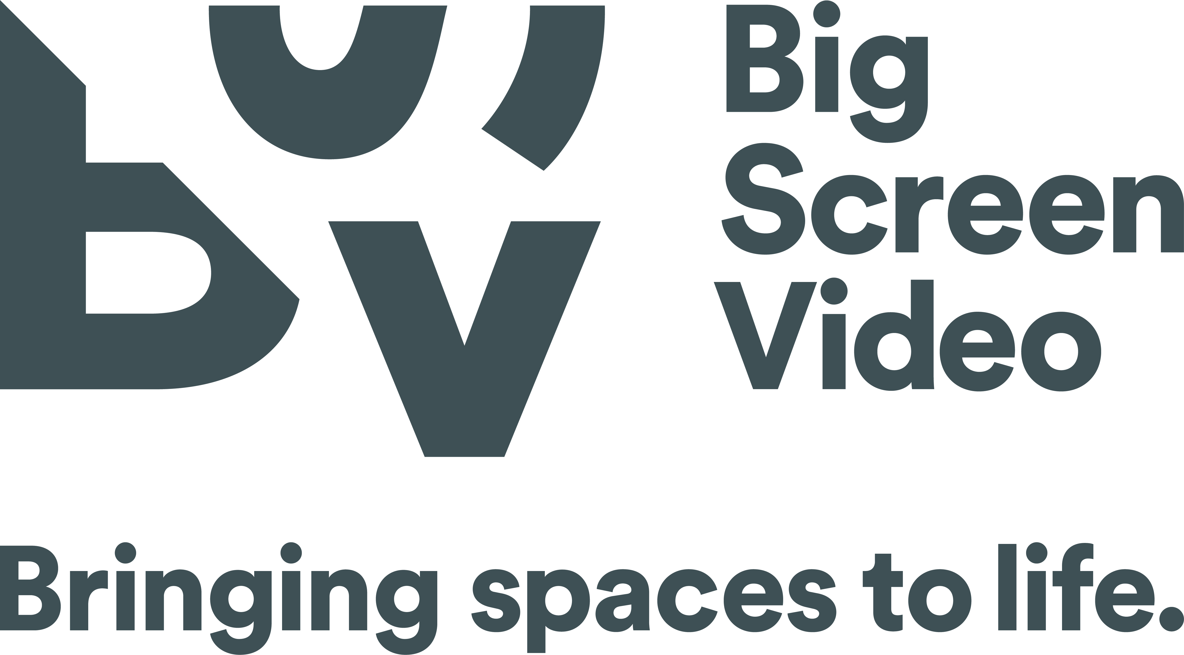 Big Screen Video logo