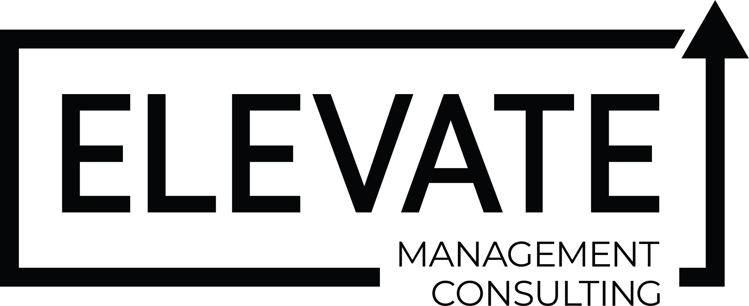 Elevate Management Consulting logo