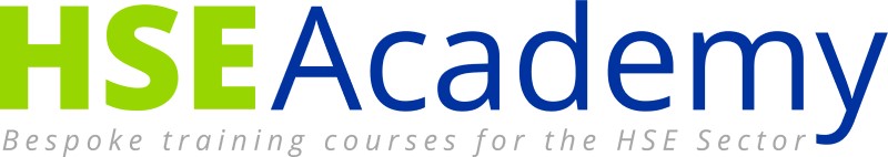 HSE Academy logo