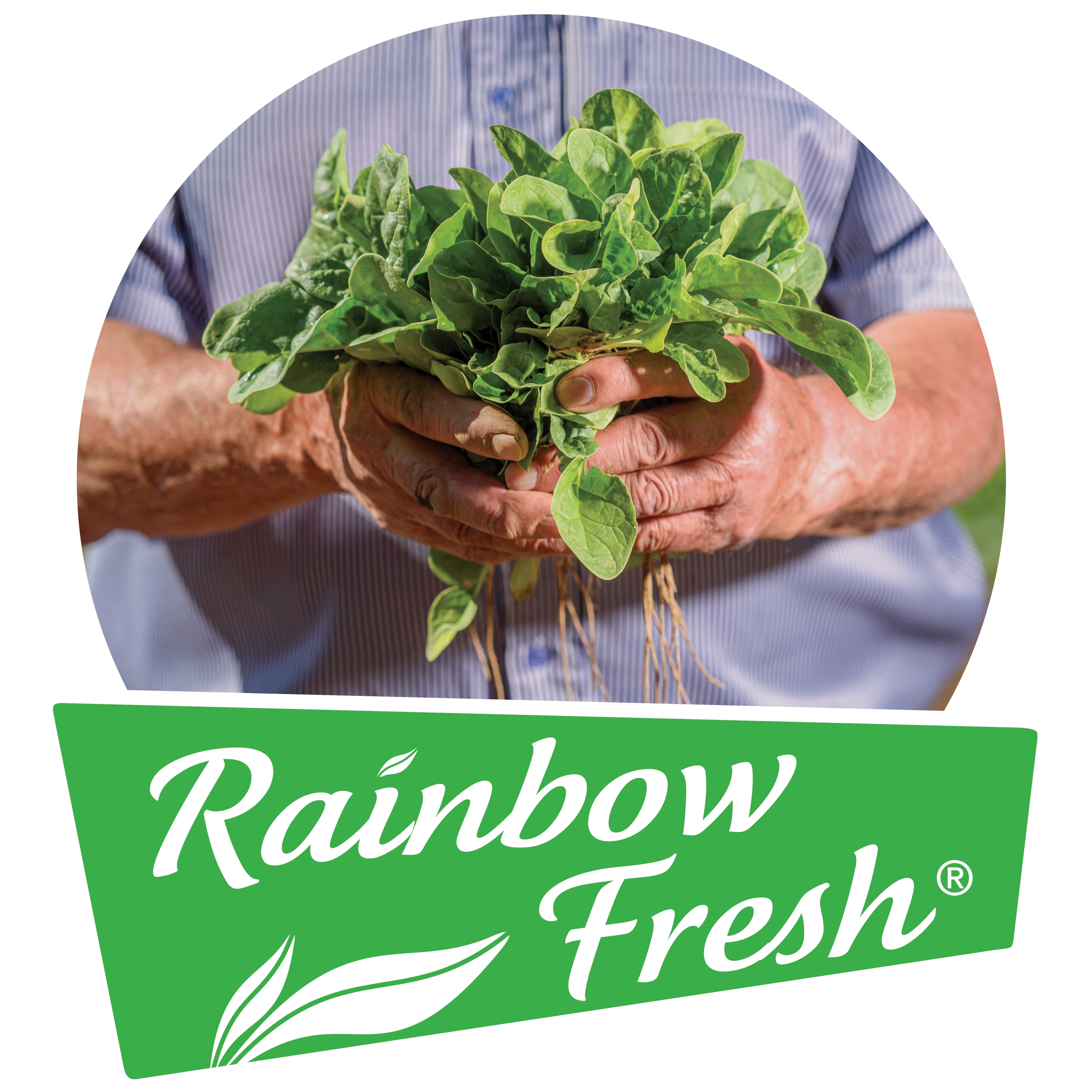 Rainbow Fresh logo