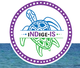 iNDige-IS icon